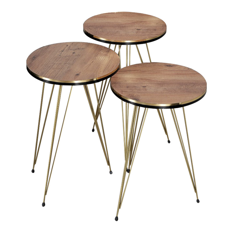 Модерен, естетски и уникатен сет од три клуб масички Side tables Kasic со горна плоча во природен даб дрвен декор и префинети сјајни златни метални ногарки