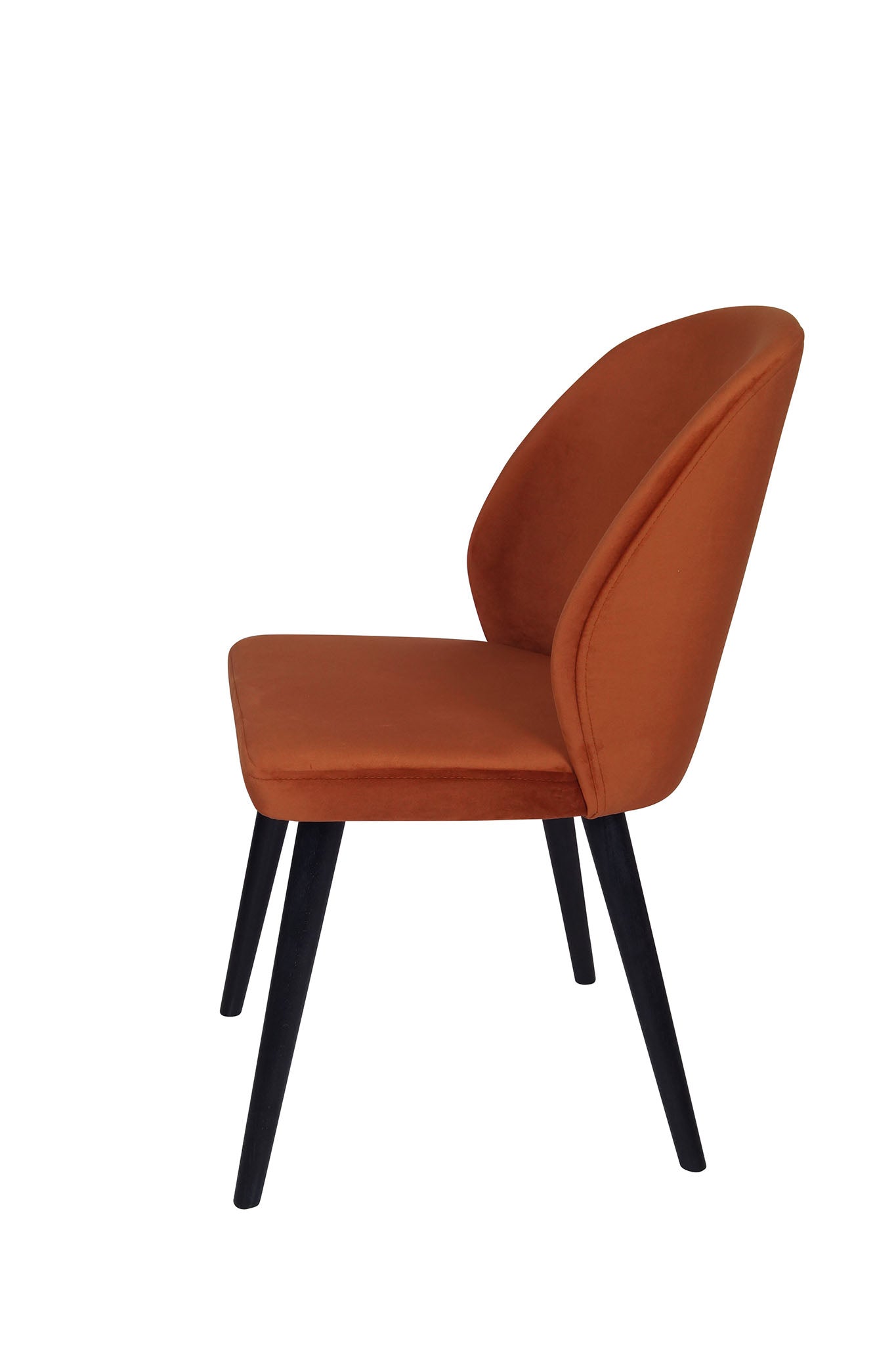 Alisa Dining Chair